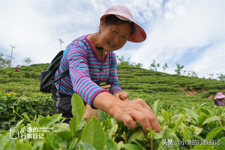 陕西西安旅游自驾攻略,西安踏青自驾游的绝佳去处两日游