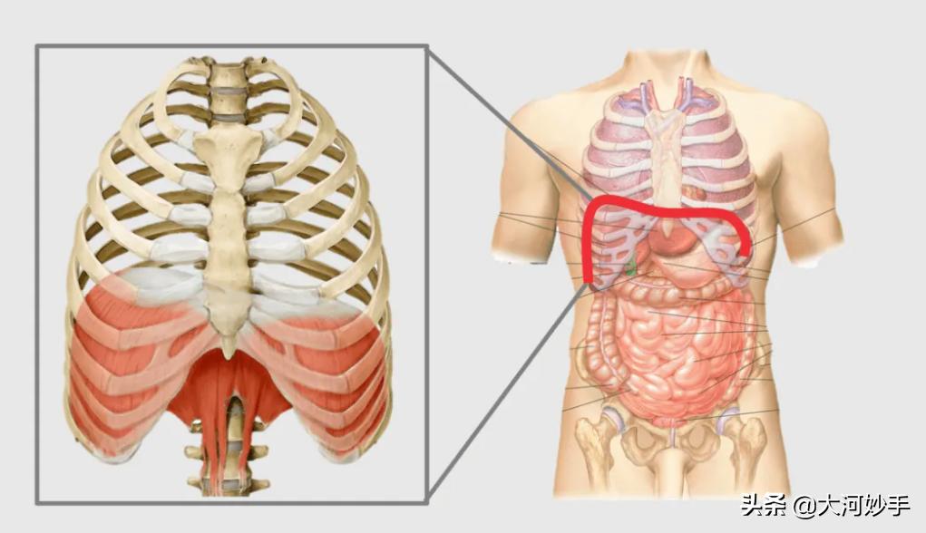 别担心，如果你的身体是歪的，八段锦帮你直起来