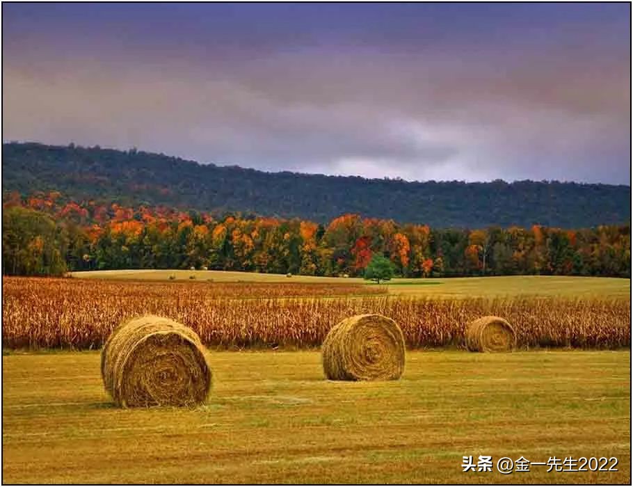 网上银行转账最高限额,网上银行app官方下载