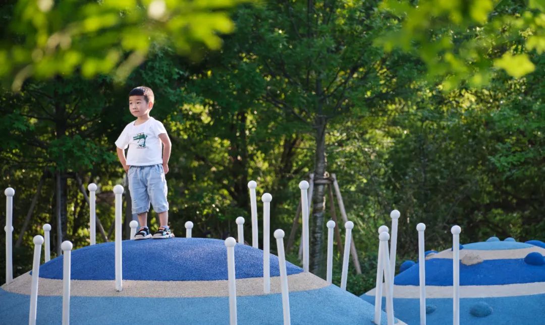 松江g60科创云廊旁边最美的公园,松江九亭g60科创云廊效果图