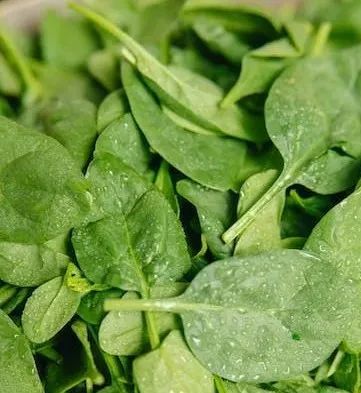 肝硬化出现结节肝硬化还能逆转吗,肝硬化干细胞移植能逆转肝硬化吗