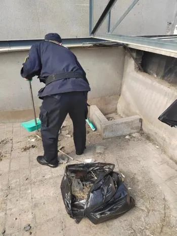 美丽院区•温心服务|烟台海港医院改善卫生环境提升患者满意度