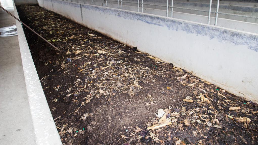 财富信号！2023一号文件解读：未来5年，这3个行业发展强劲有前景