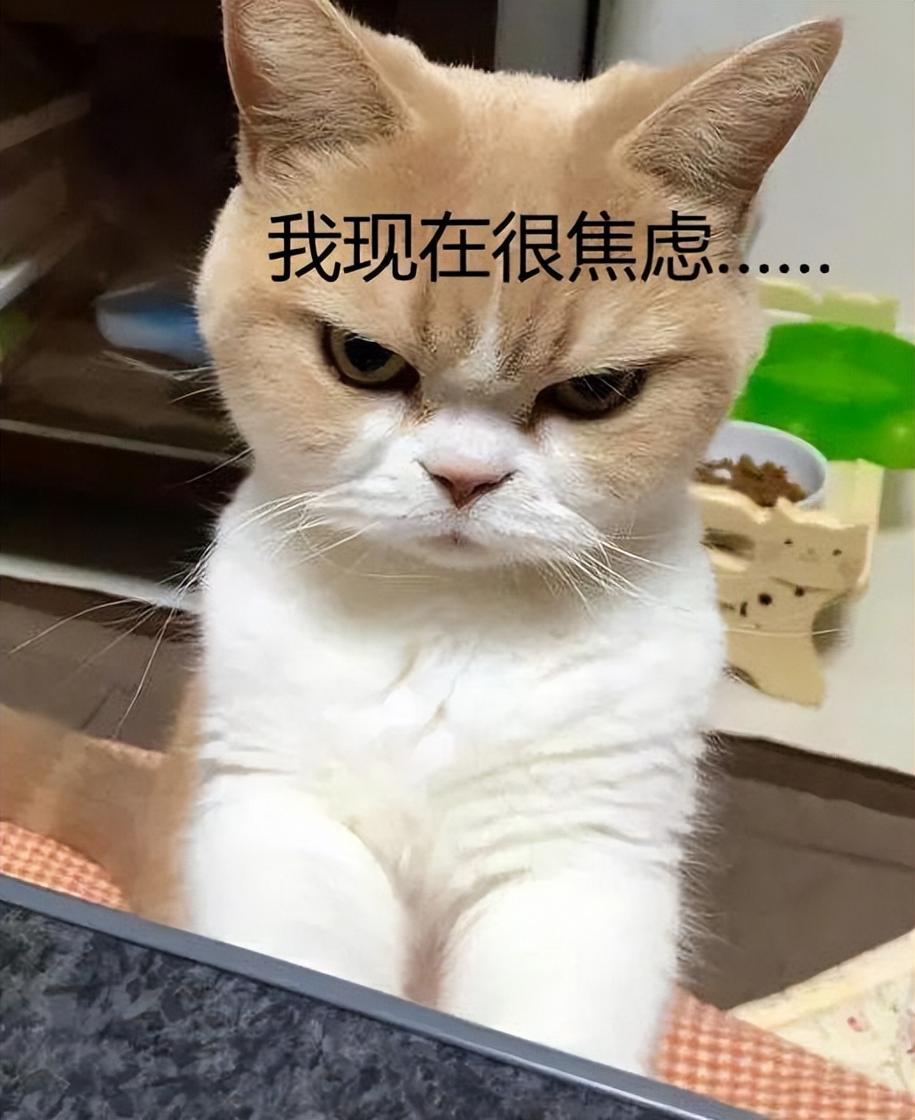 名品极选怎样,名品极选靠谱么