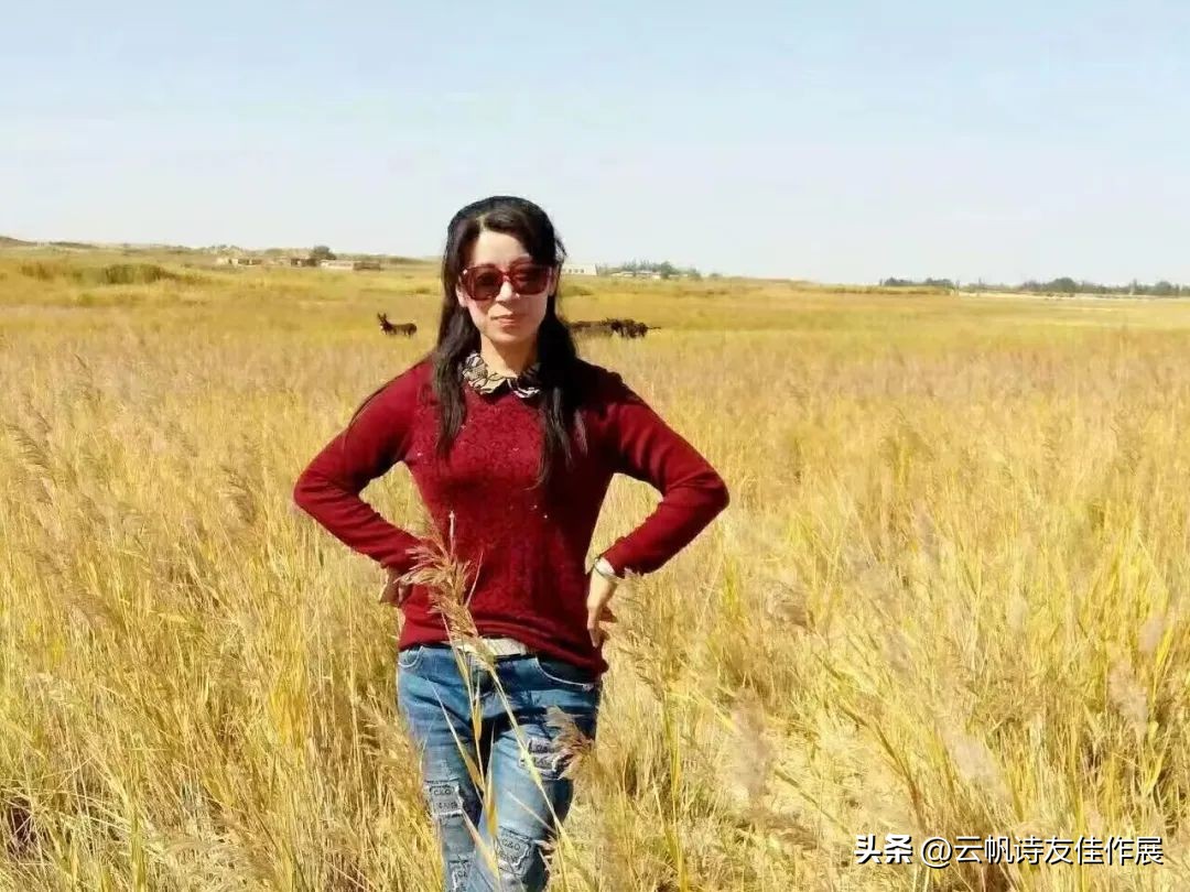 中国诗词大会2023,诗词大会最美的词