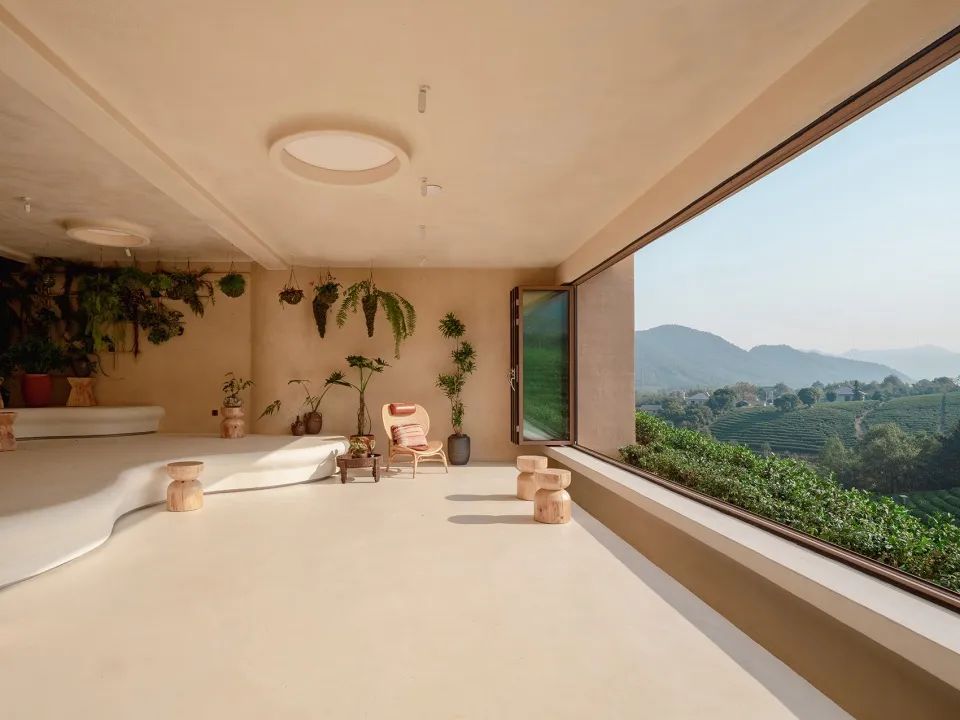 中国茶申遗成功吗,中国茶申遗成功44项名单