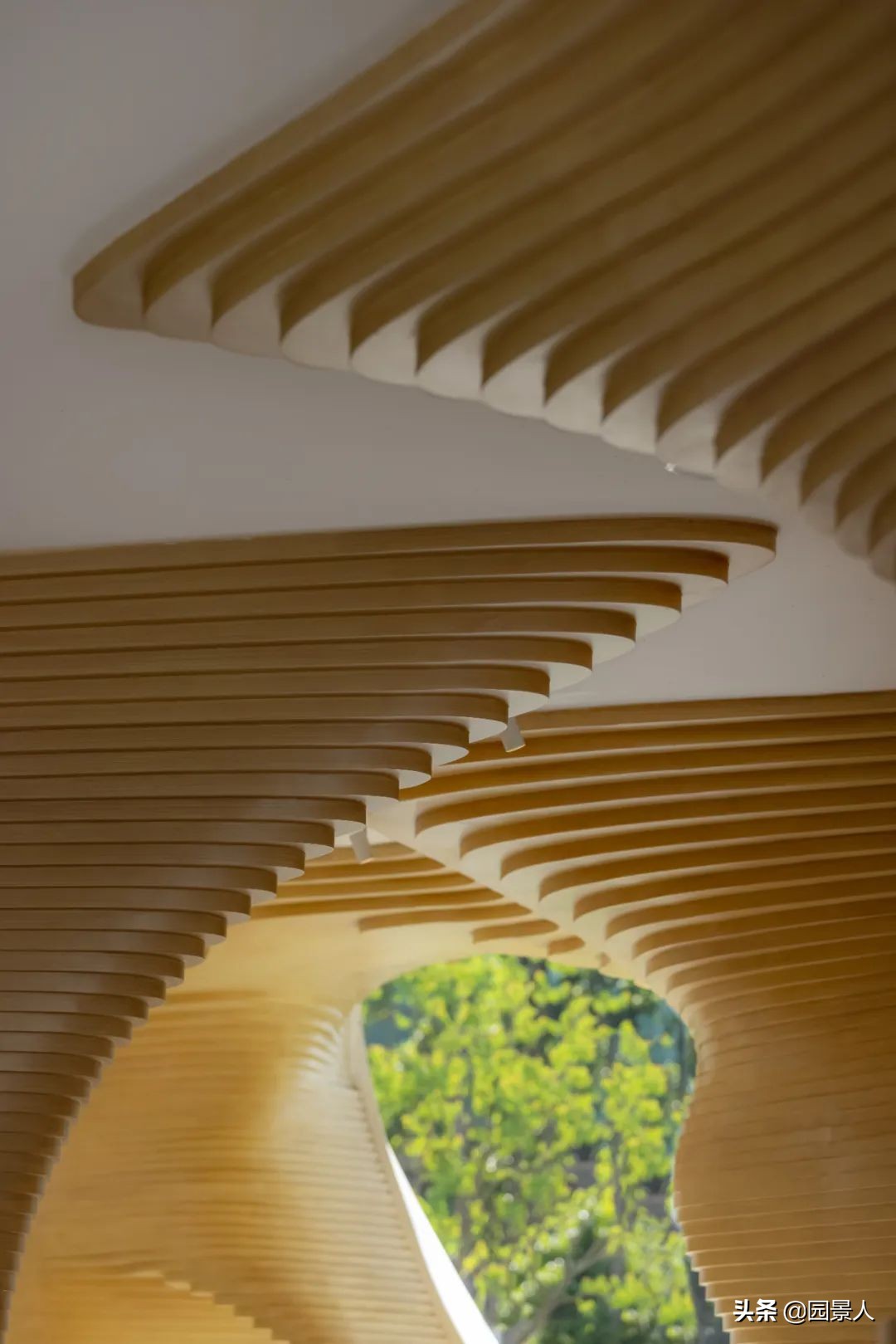 南山之北，理想生活追寻丨保利·麓谷林语