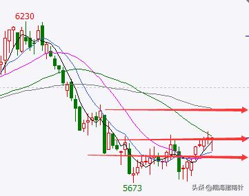 商品期货操作建议,鸡蛋2409期货最新操作建议