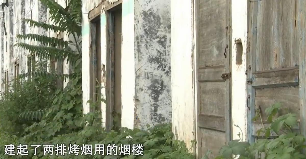 回顾中年夫妻不幸遇害事件,患难夫妻车祸现在怎么样了