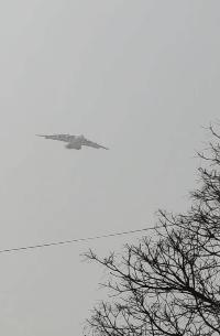 美企都买了！C919再添60架订单，更好消息：CJ1000A已装运20试飞