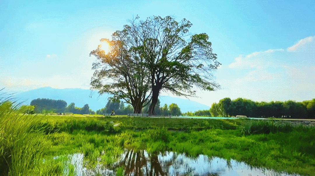 电脑上误删的程序怎么恢复,电脑上误删文件怎么恢复