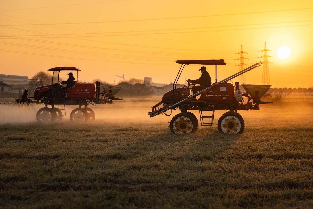常熟之地“新粮农”