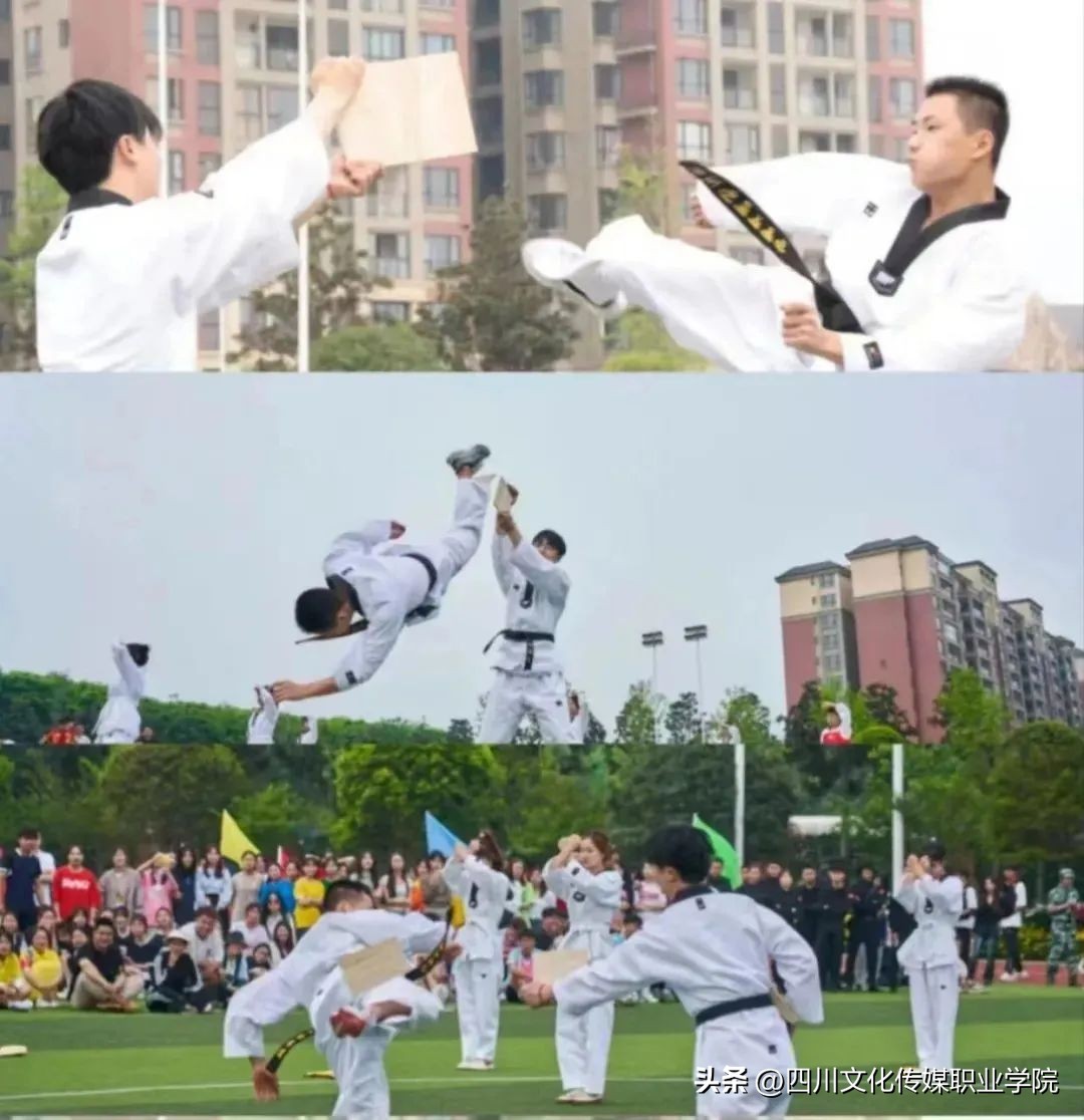 文传学院有哪些专业推荐,文传学什么专业好学