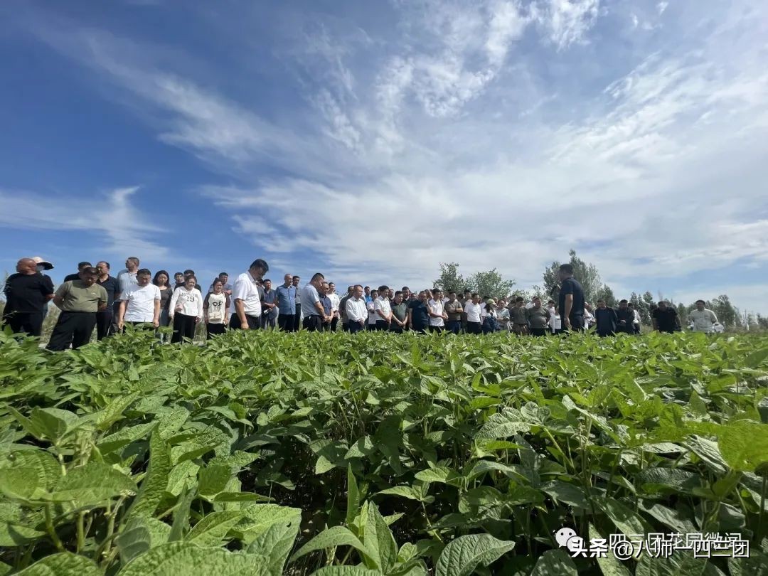 一四三团赴七师128团130团观摩学习找差距借鉴经验促提升