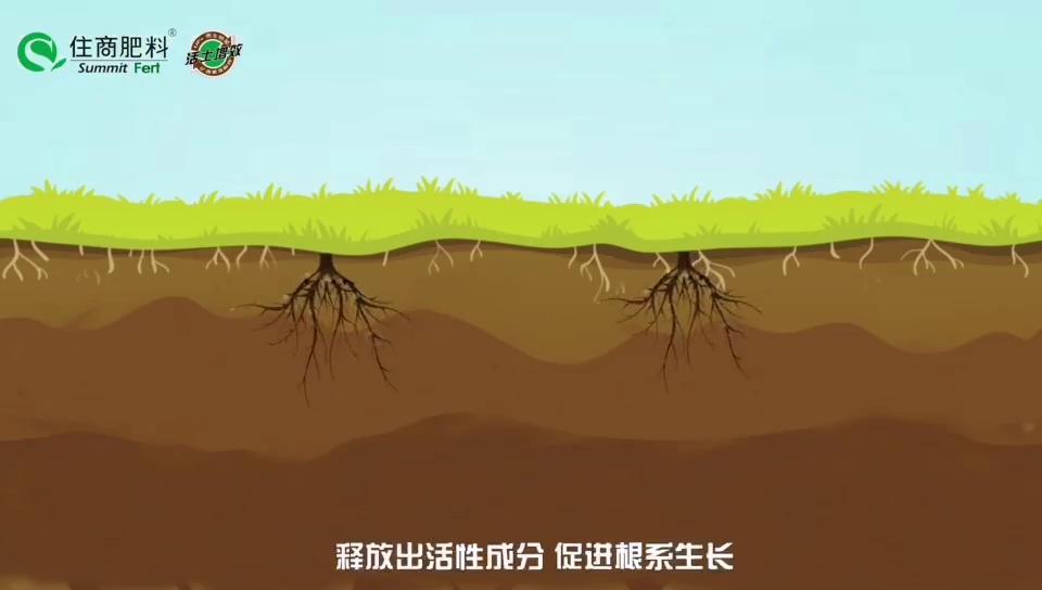 住商肥料所含成分,住商肥料助力精品农业