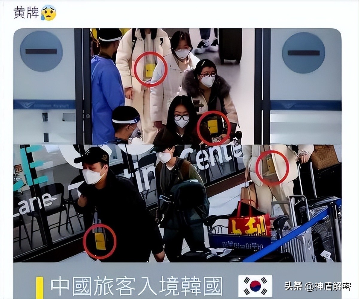 中国游客入境韩国被挂黄牌事件 (入境韩国的中国游客被挂黄牌)