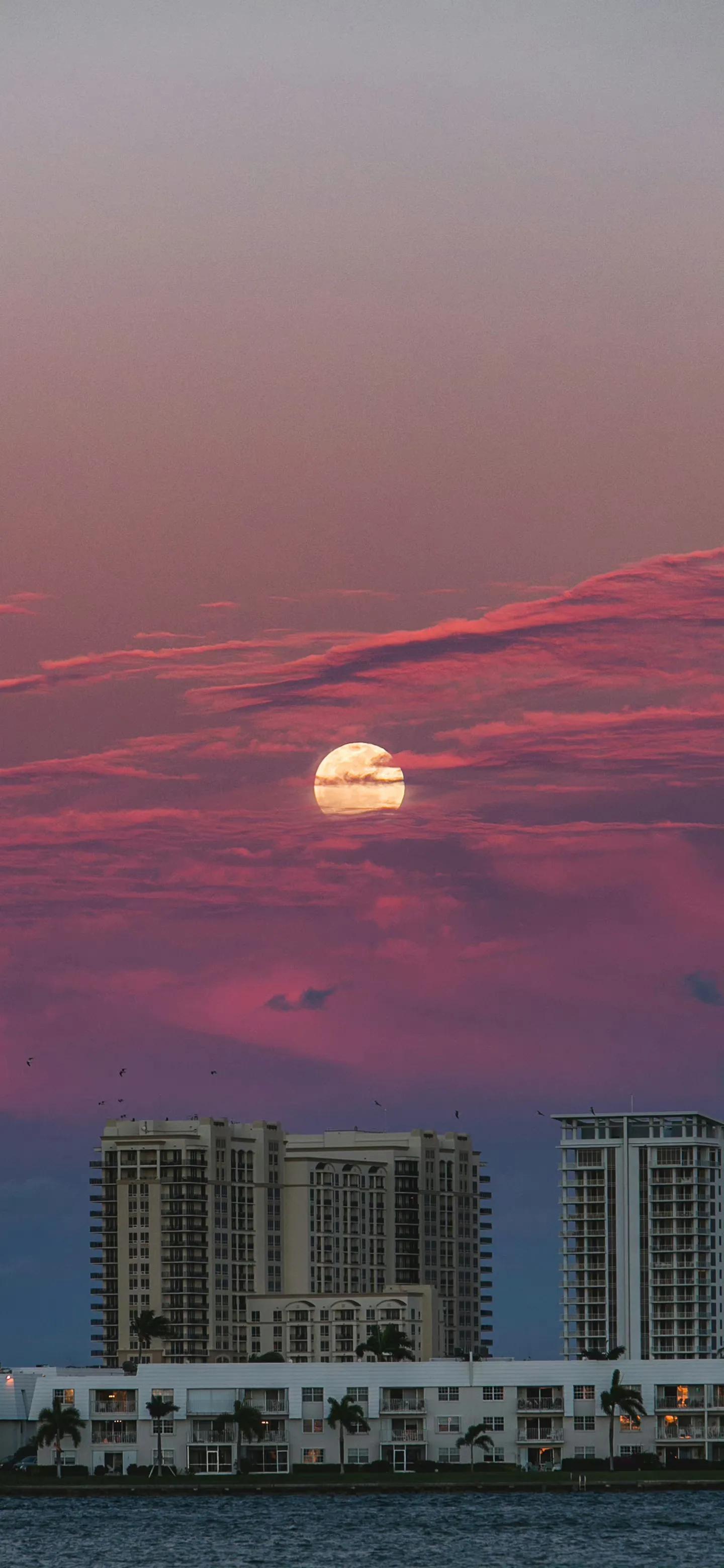 iphone壁纸视觉缩放开关,iphone壁纸认知地图