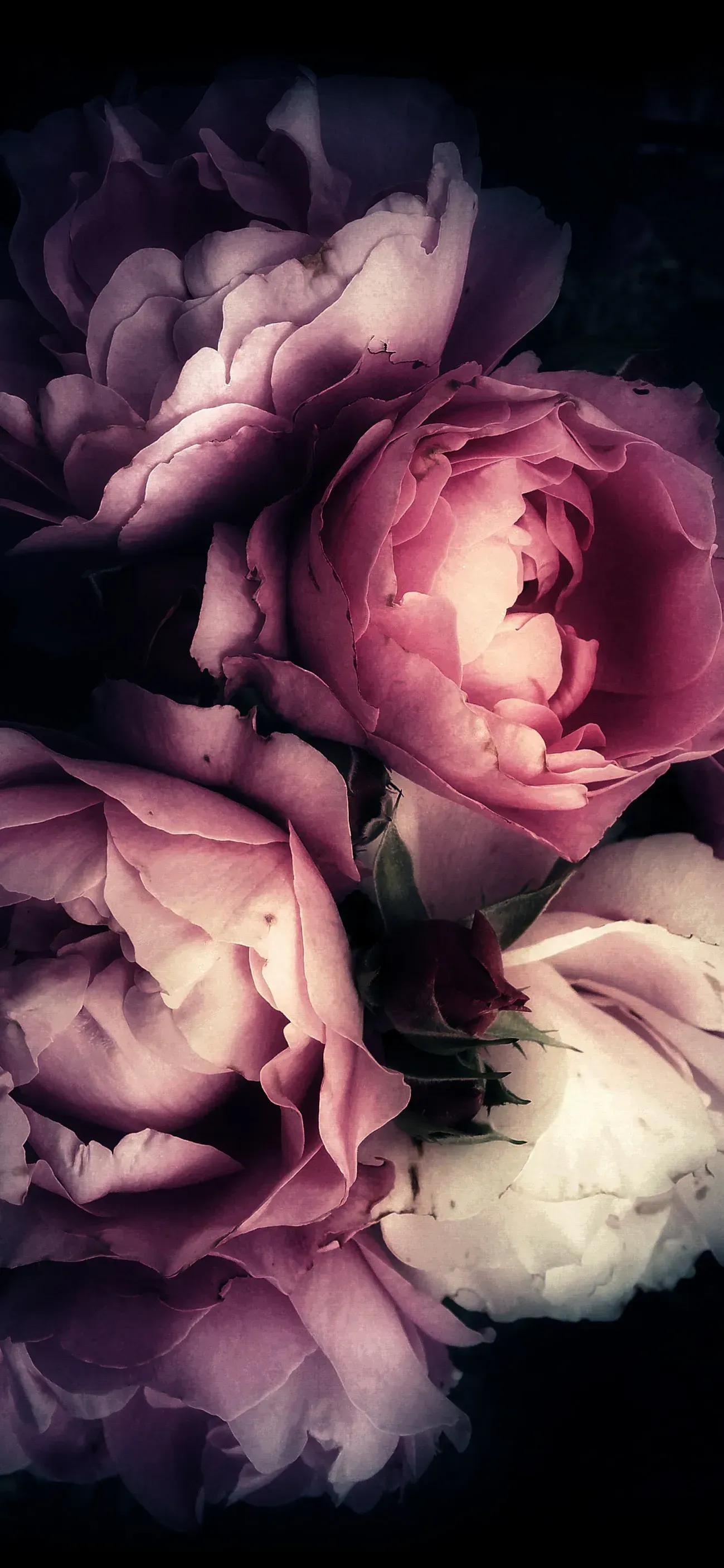 高清壁纸全面屏手机,围棋壁纸高清全面屏