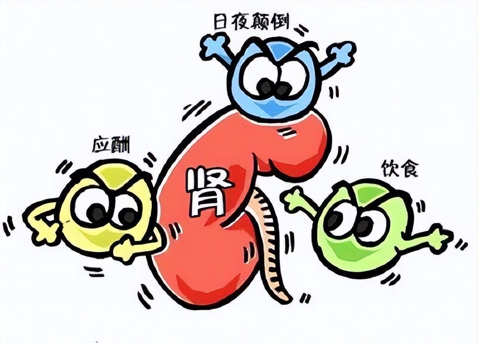 中医辨证肾阳虚和肾阴虚的区别,中医怎么判别肾阴虚还是肾阳虚