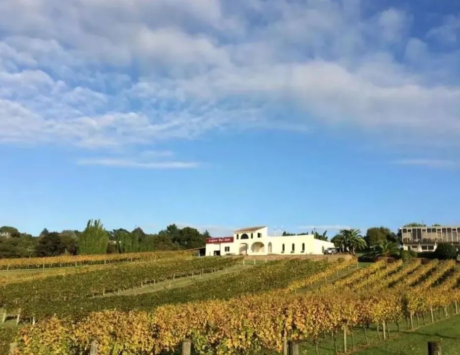 顶流葡萄酒,王牧笛法国尼斯