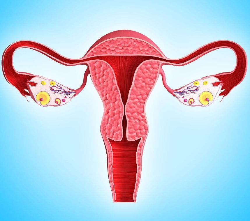 阴阳人有没有存在,阴阳人存在么