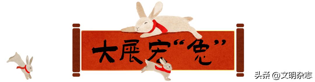 兔子来阳台,兔子来到新家