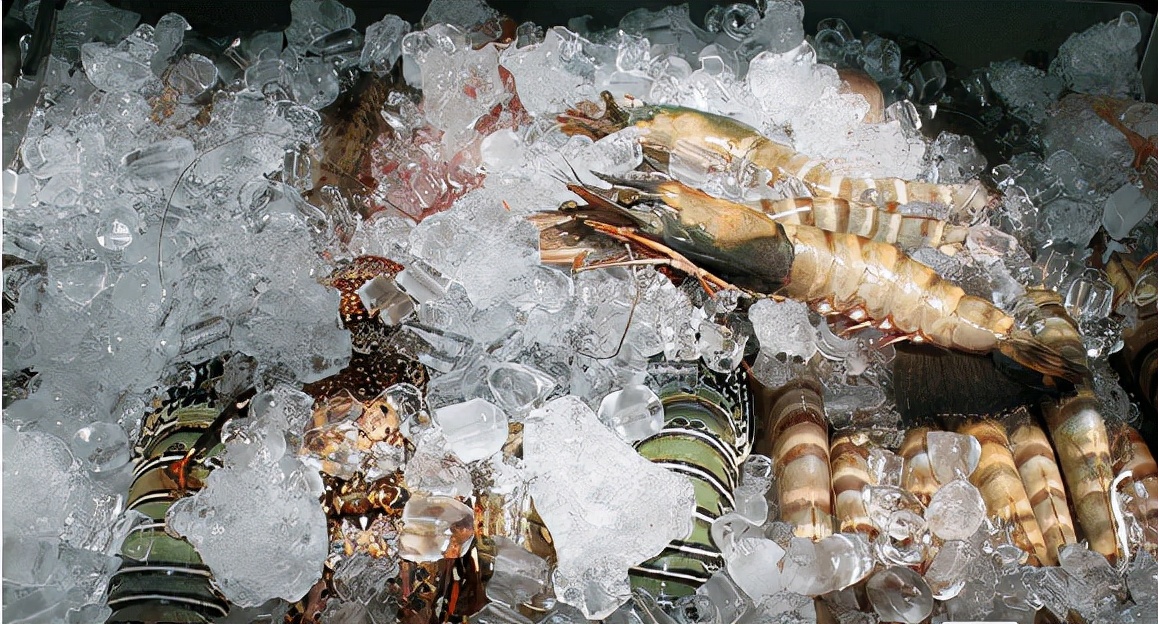 不建议吃的食物,不建议吃的东西是什么