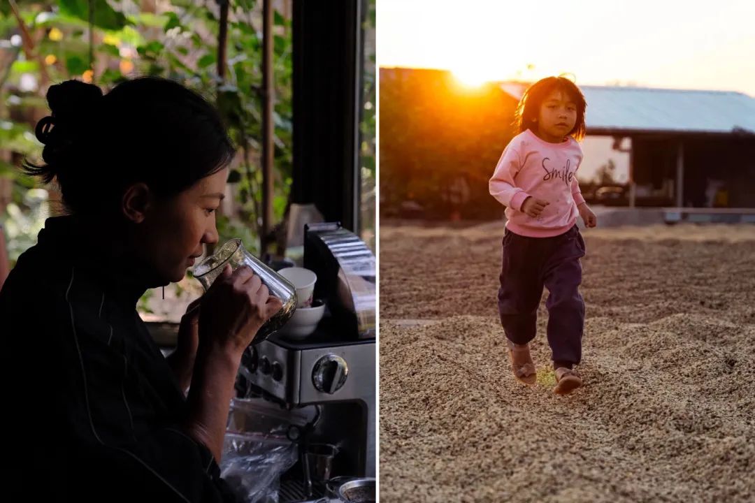 云南咖啡第一,云南咖啡探索