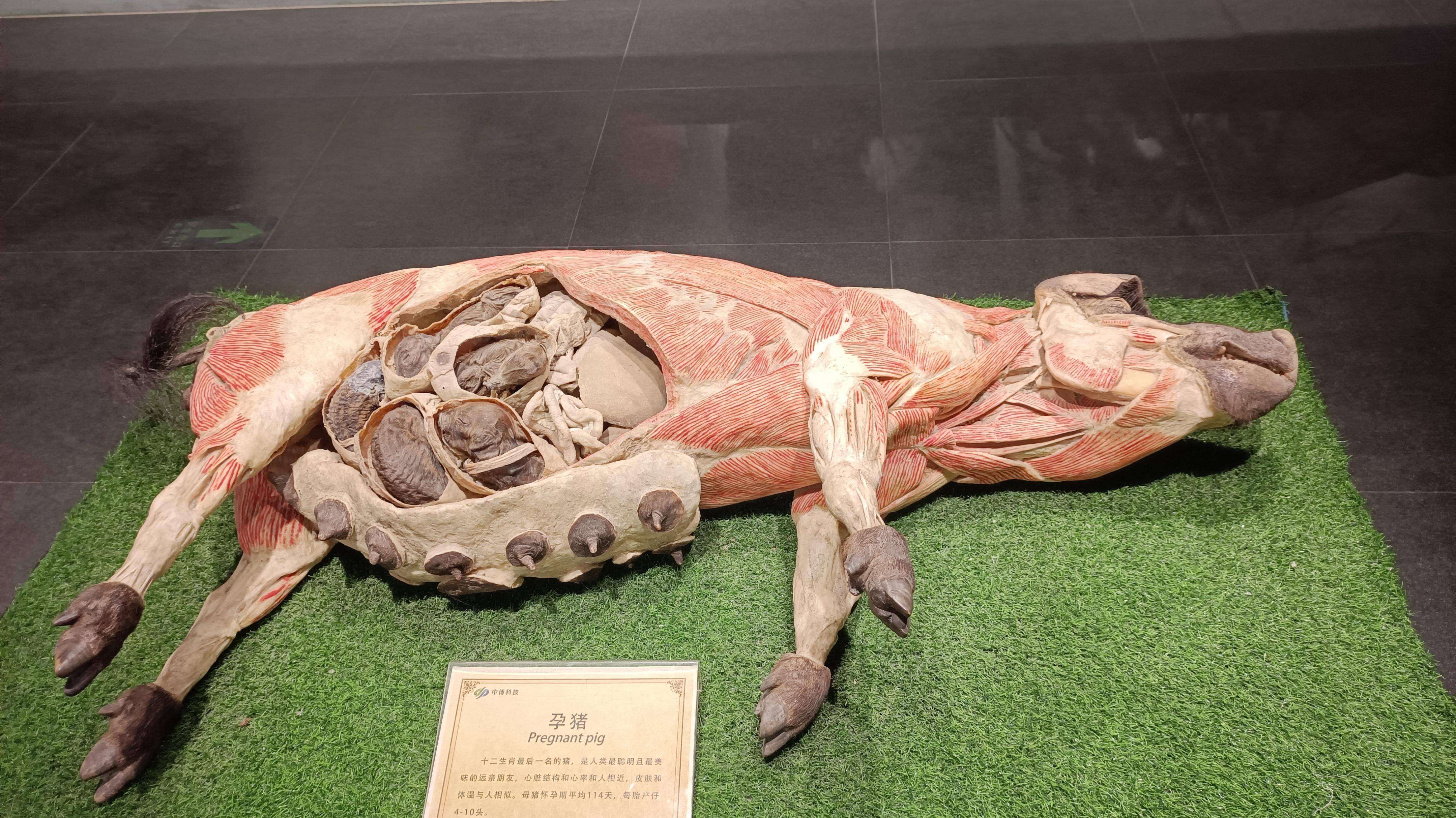 郑州九区遛娃游玩排行榜前十名,郑州遛娃打卡地点推荐