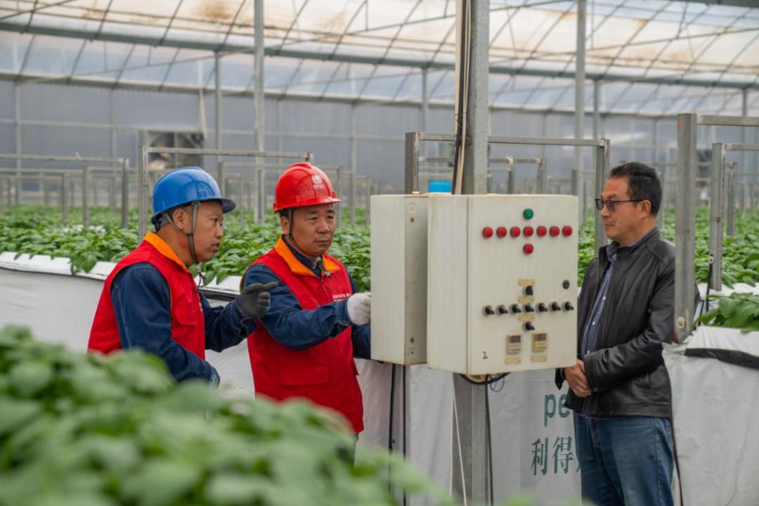 国网安定区供电公司,国网甘肃省电力公司定西