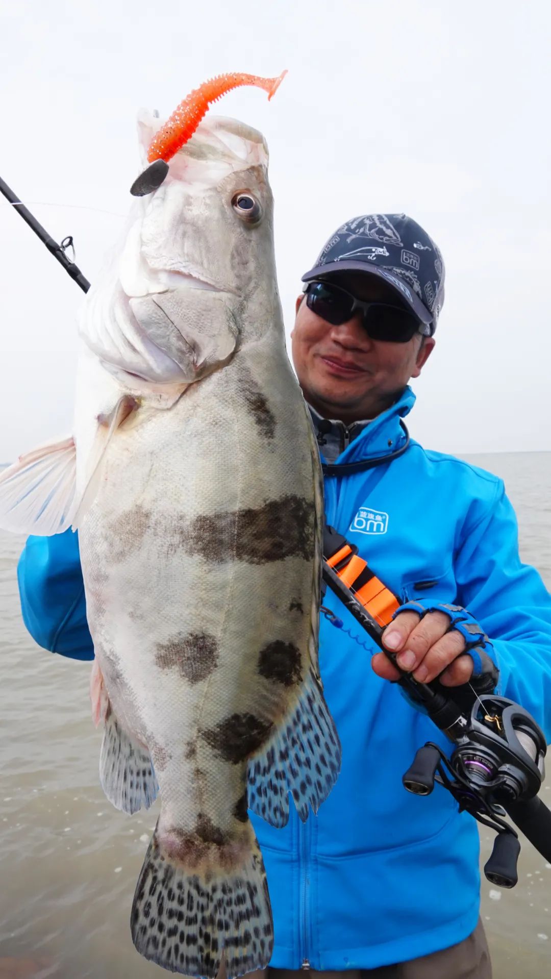 干货|野心实战摸石头跳鳜，带线控饵下沉是什么操控？