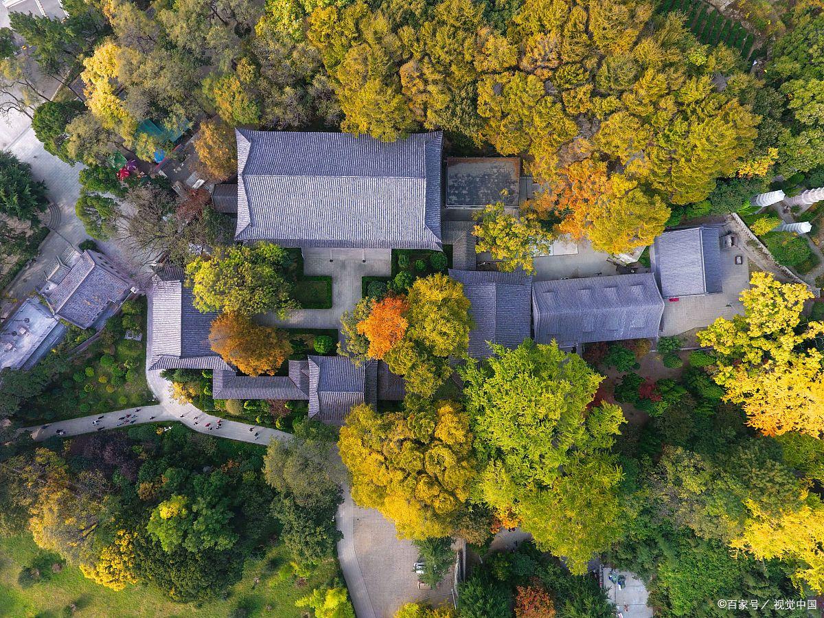 吐槽青岛坑人景区,被游客吐槽的景点其实应该这样玩