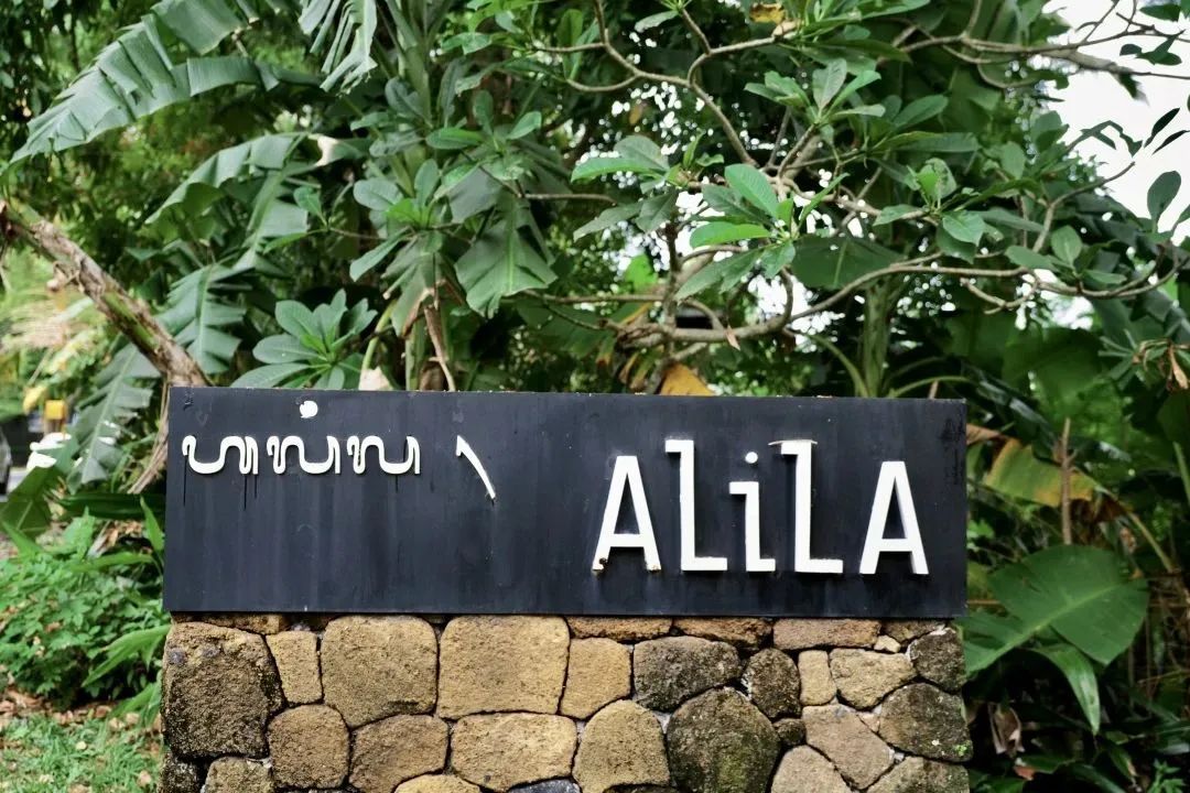 这可能是全球性价比最高的一家阿丽拉