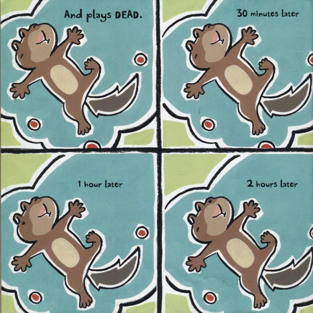 一起读牛津阅读树,redsquirrel绘本