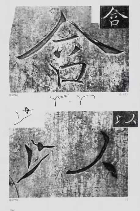宸ョ瑪鐢绘潹鏅箟鐢诲唽,鏉滈箖鏉ㄦ櫘涔夊畬鏁寸増