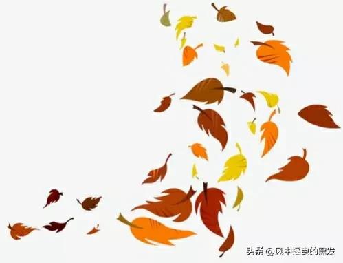 一天学一个成语一年级,一天学一个二字古词