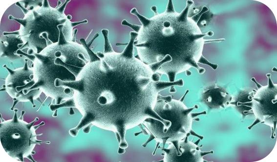 猫传染性腹膜炎后腿无力,传染性腹膜炎猫可以治疗吗