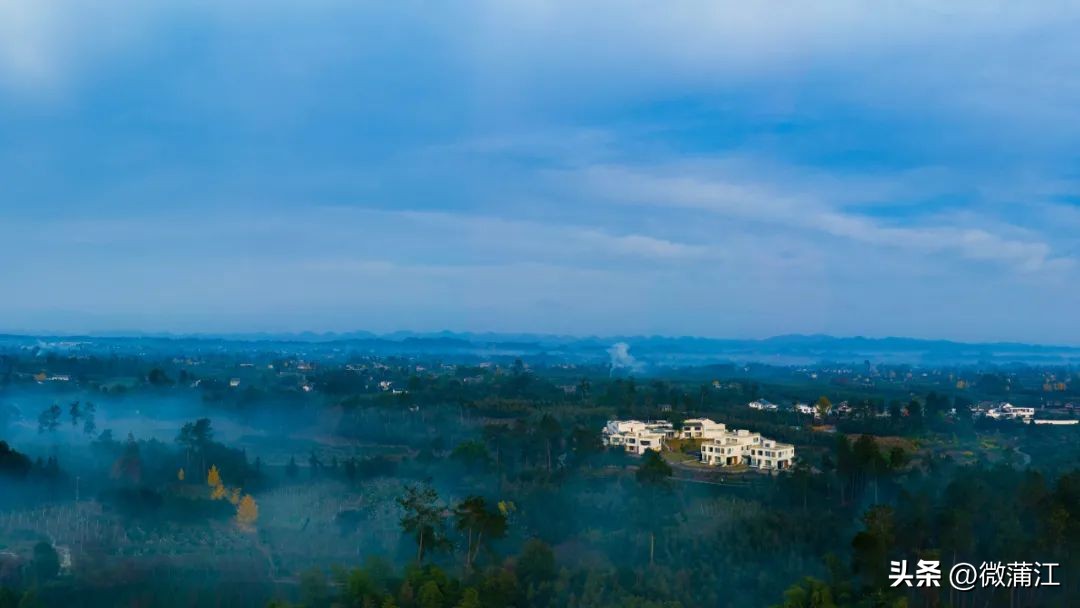 迎新春兔年促消费,迎新春促消费浓浓年味享不停