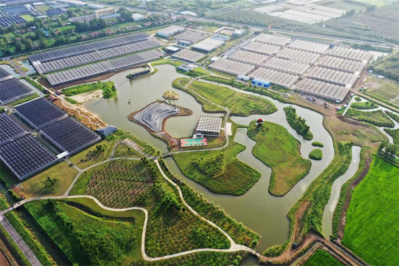 沭阳县重大项目,江苏农业农村重大项目与招商地图