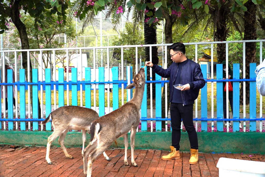 广州遛娃好玩的地方推荐,广州遛娃必去的景点