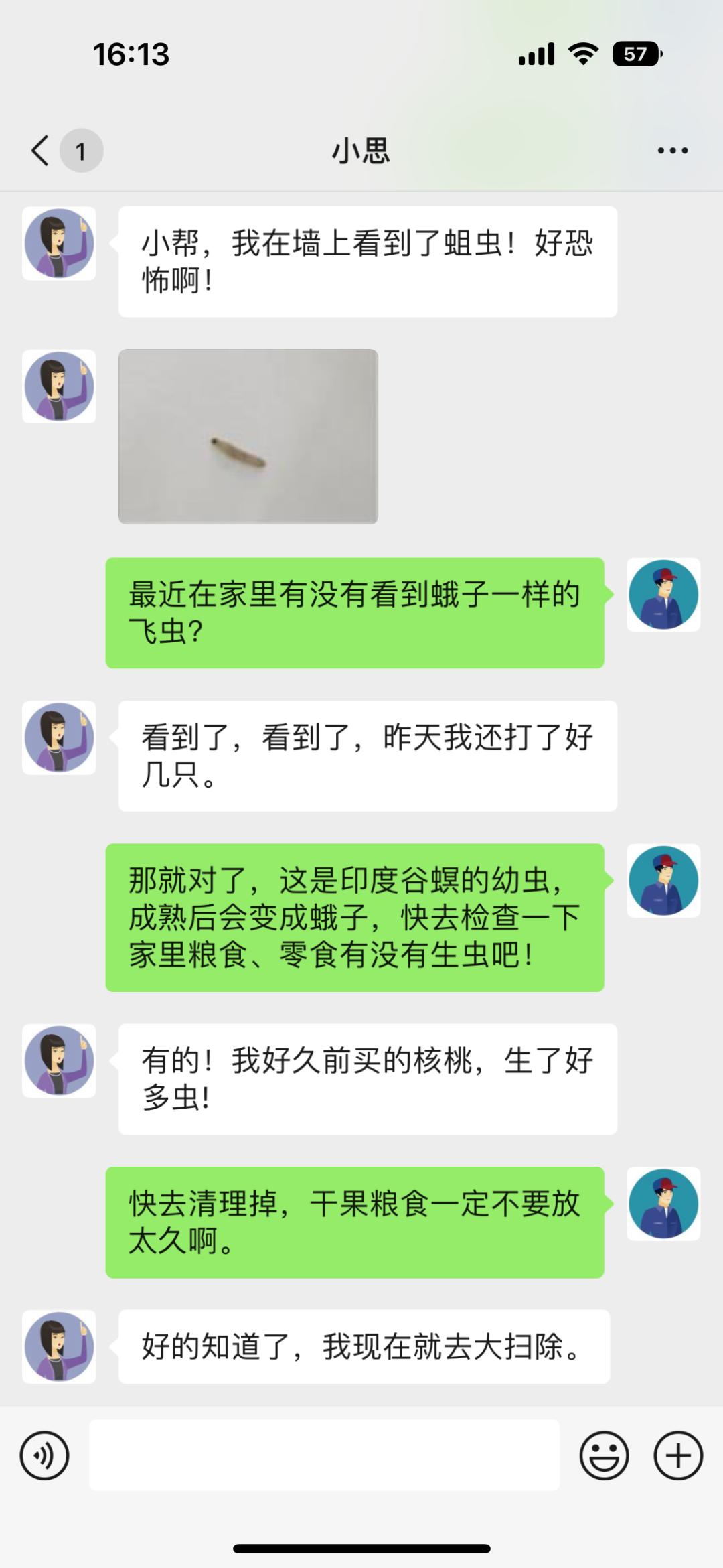 家里突然出现黑飞蛾,家里发现不明虫子应该找哪个部门