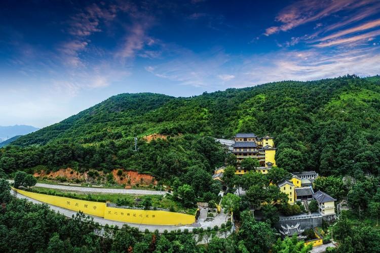 一月山茶花哪个地区最美,赏花山茶花