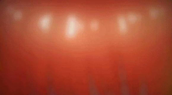 评分最高的十部动漫番剧,必看的十大动漫番剧有哪些