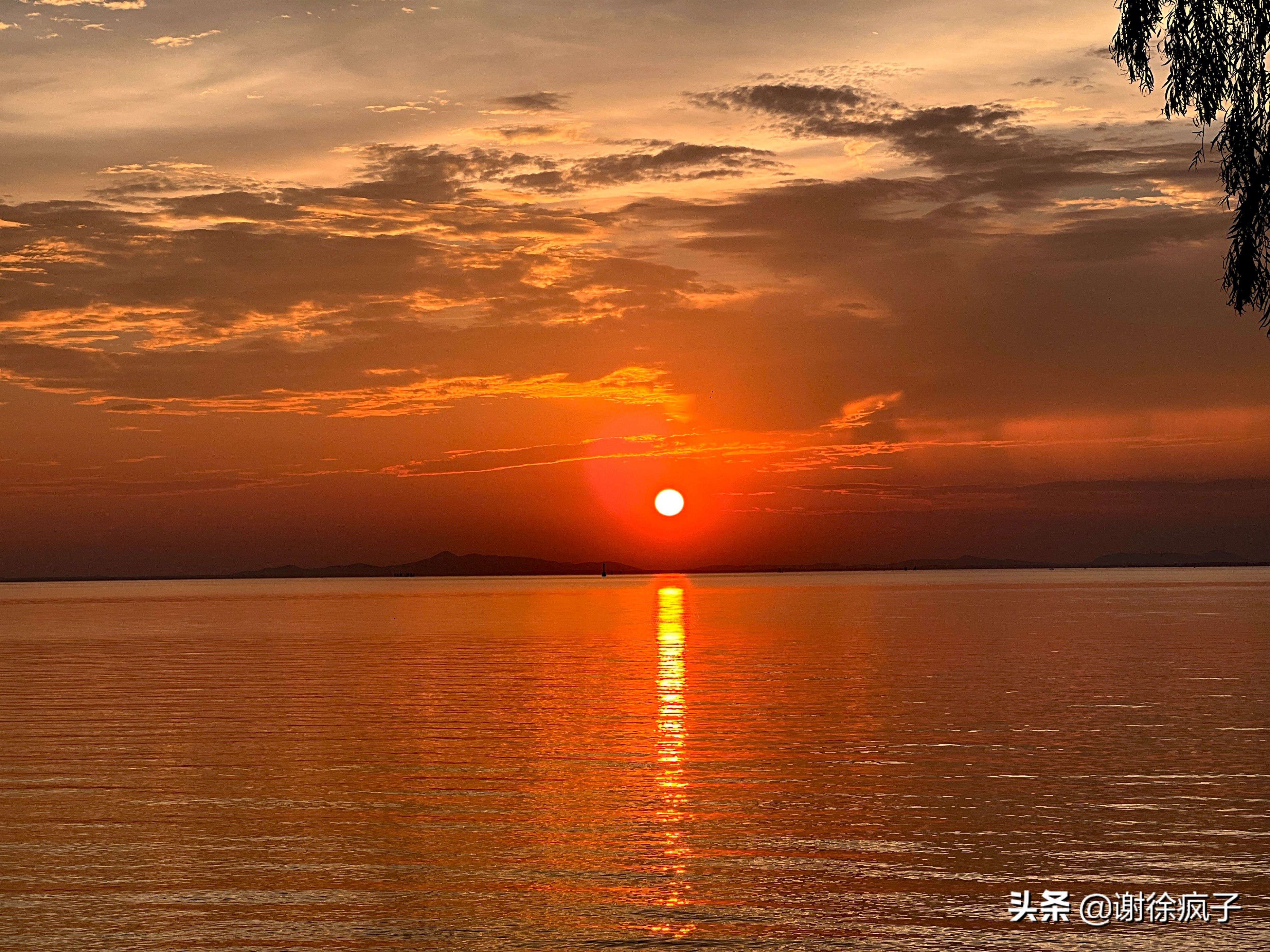 巢湖南岸凤凰酒店,巢湖南岸碧桂园凤凰酒店周围游玩