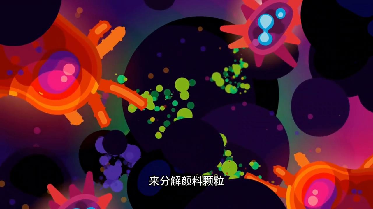 纹身伤免疫系统吗,纹身的伤害视频