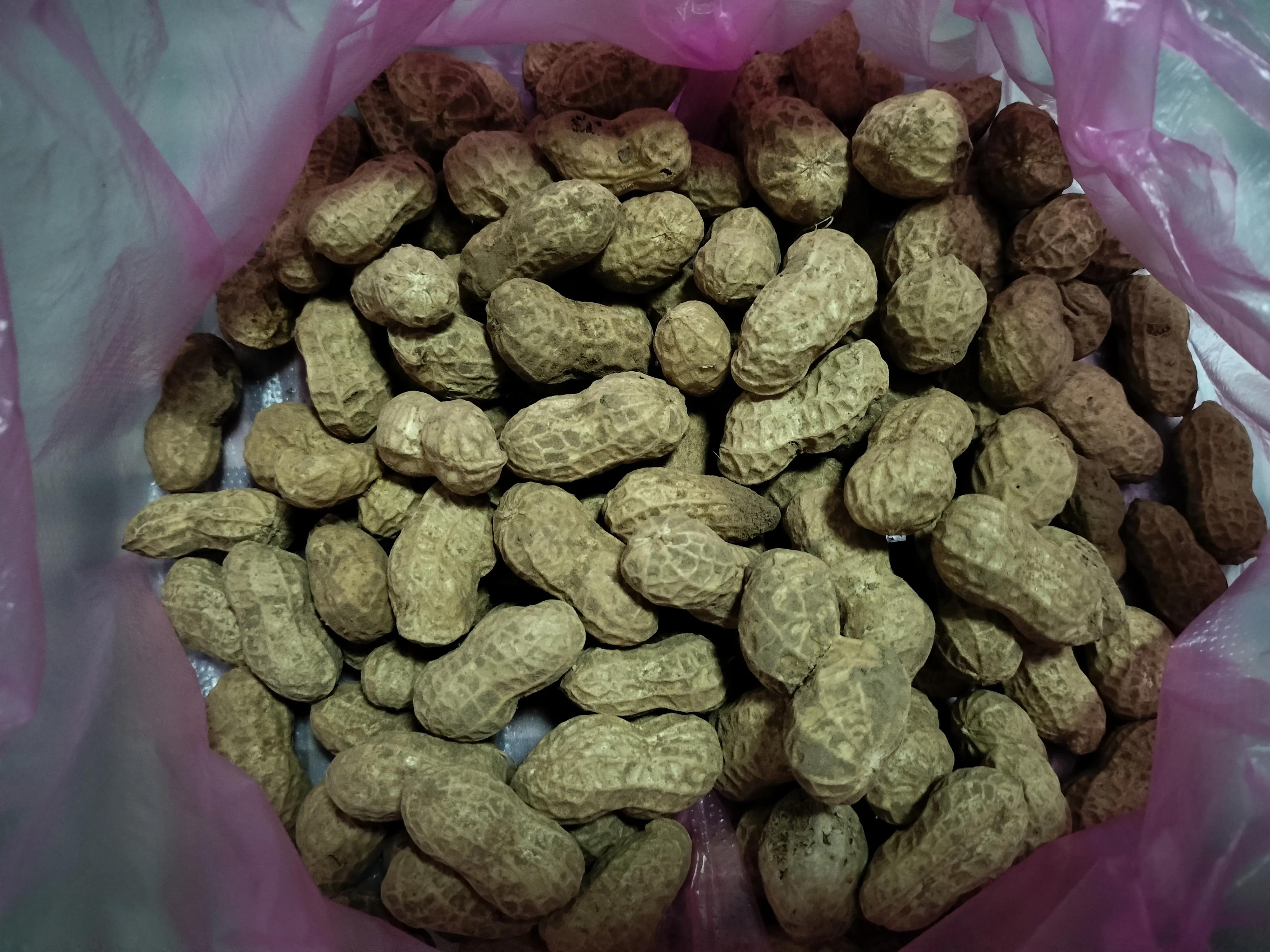 童年小伙伴相声,童年小伙伴歌曲