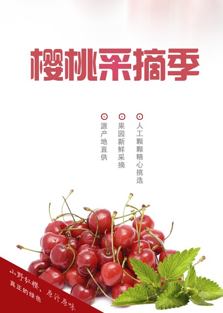 做饼干食品批发新手怎么入行,饼干批发一手货源摆摊