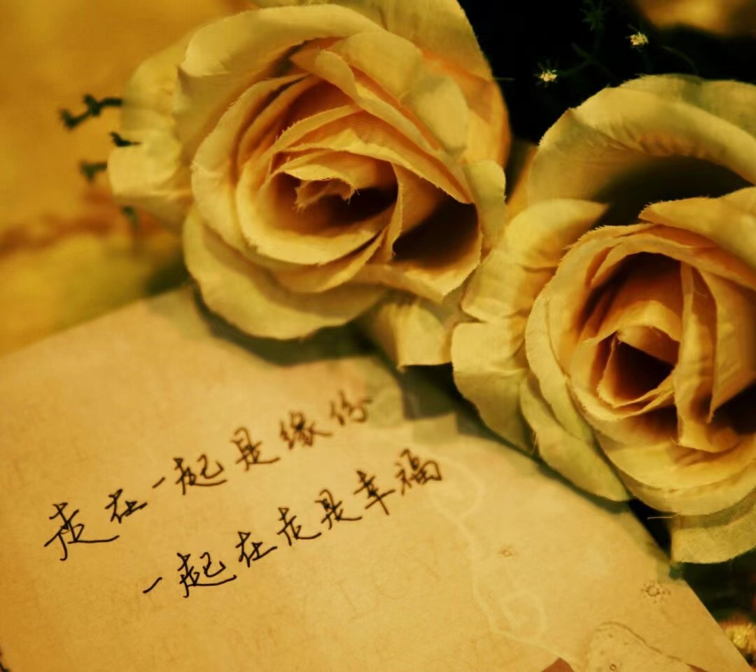 法国老太等中国初恋50年未嫁人,法国姑娘苦等初恋55年