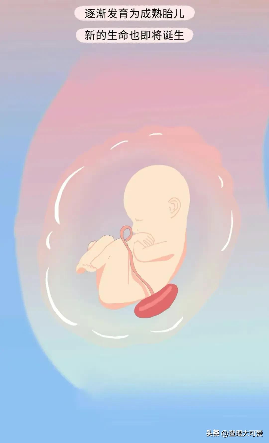 小蝌蚪找妈妈故事完整漫画,小蝌蚪漫画