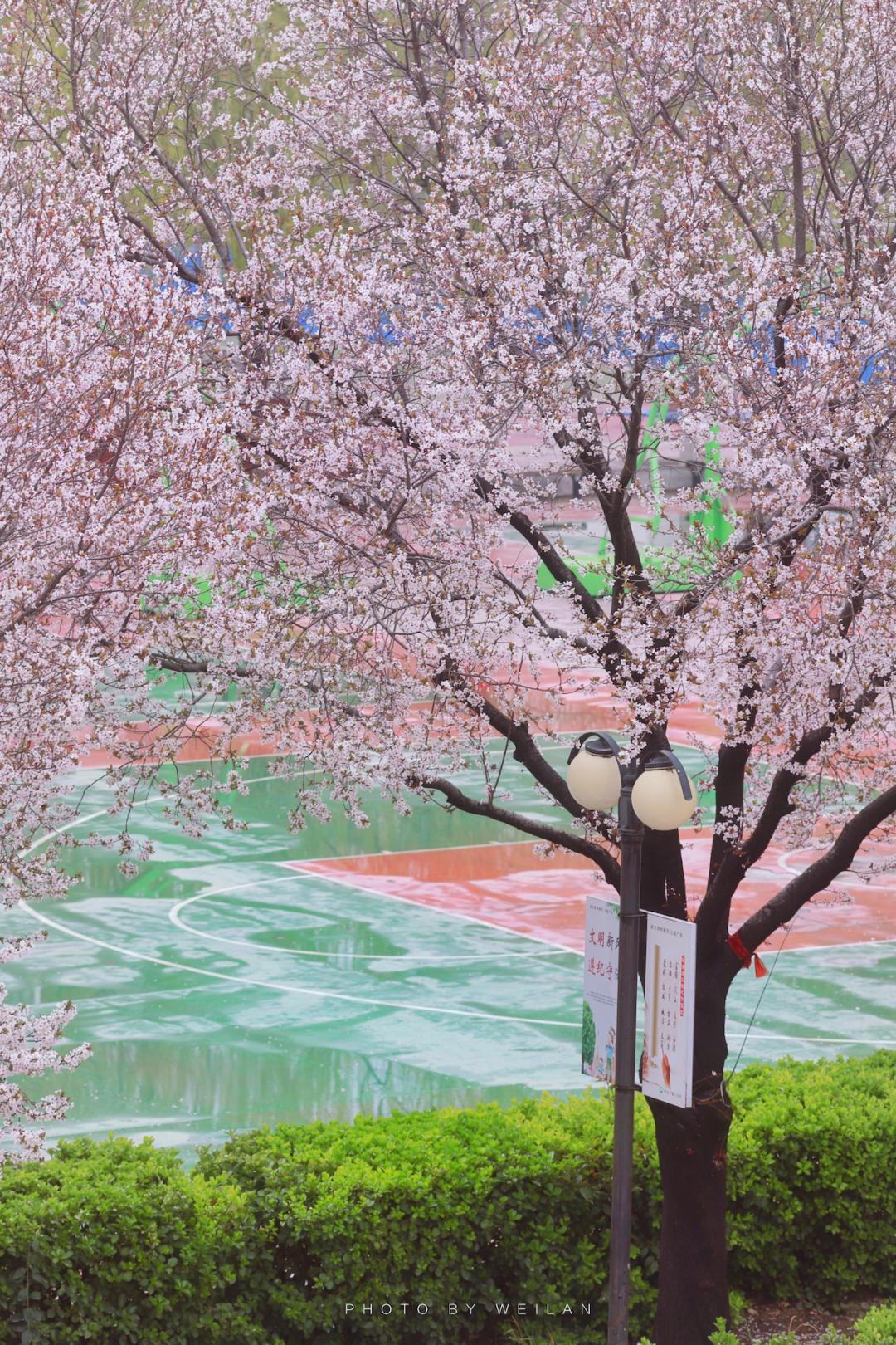 河北省邢台市第三中学高中怎么样,河北省级示范高中名单邢台